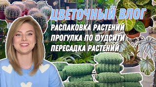 видео: Цветочный влог: Пересадка, распаковка и букеты | 2 недели с живыми и стабилизированными растениями картинка: Цветочный влог: Пересадка, распаковка и букеты | 2 недели с живыми и стабилизированными растениями