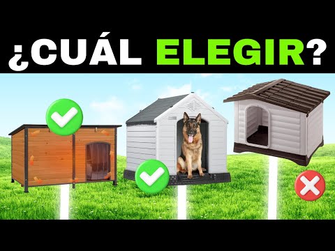 🎬 Video relacionado con casetas grandes para perros