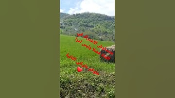 لا تهرب سورة الفلق