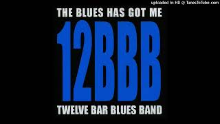 Twelve Bar Blues Band  The Blues Has Got Me
