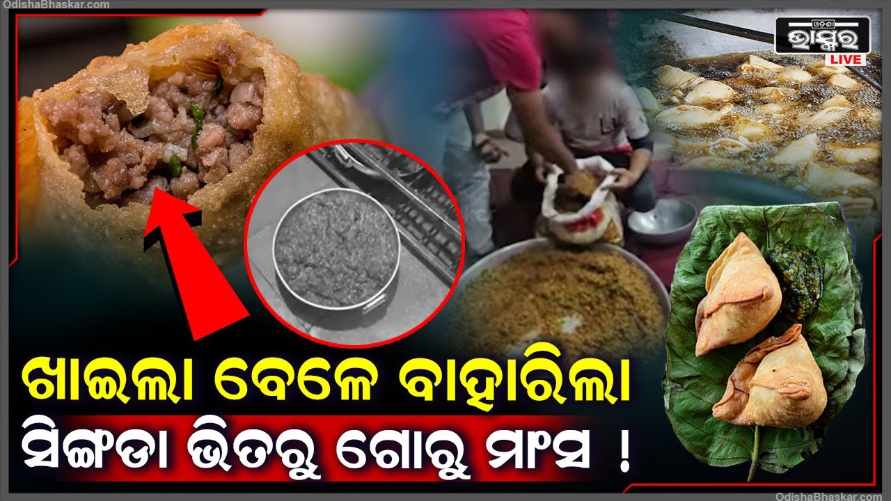 ସିଙ୍ଗଡା ଭିତରେ ଗୋ ମାଂସ ପୂର ! ସ୍ୱାଦିଷ୍ଟ ଥିବାରୁ ଜଳଖିଆ ଦୋକାନରେ ଜବରଦସ୍ତ ଭିଡ ।