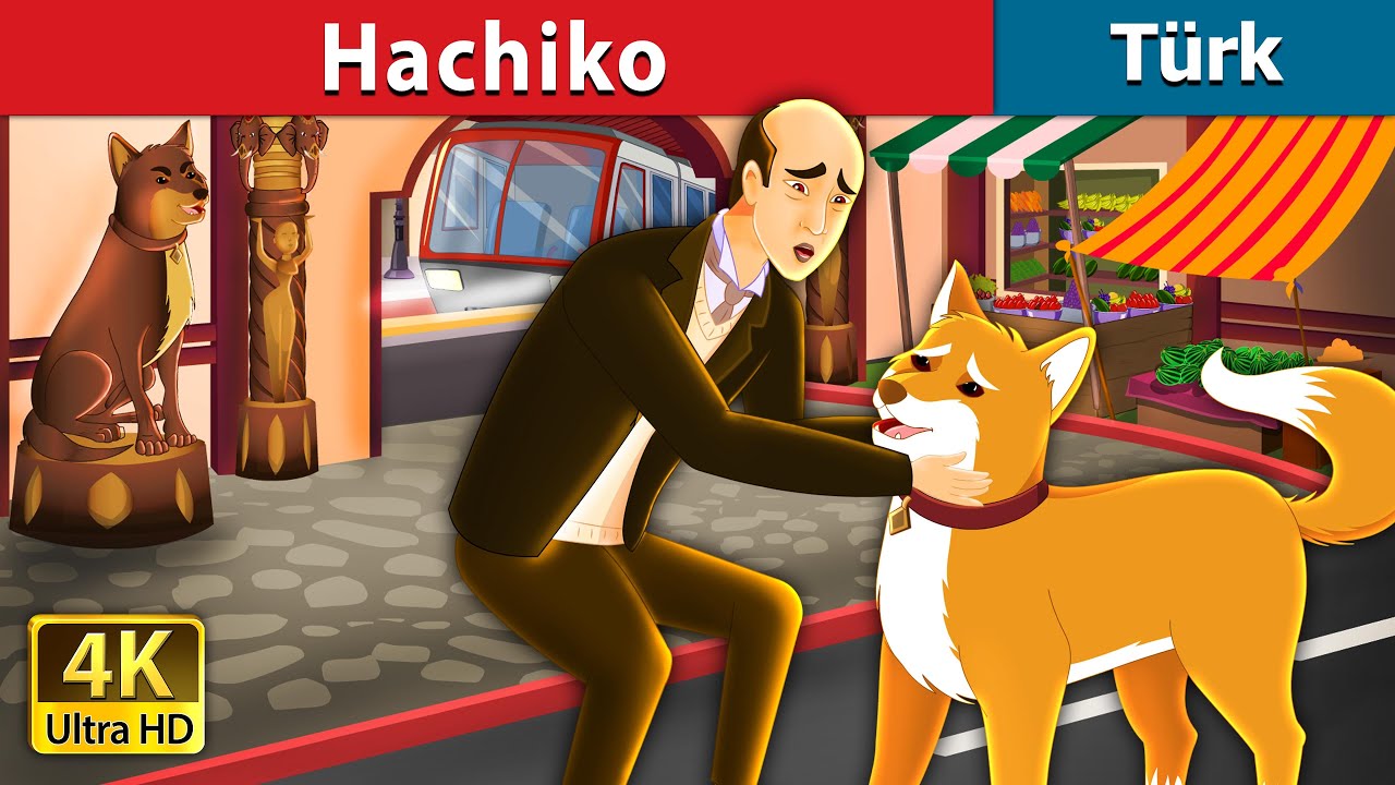 Hachiko Hachiko A Heart Touching Tale in Turkish