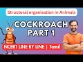 Cockroach in tamil  part 1  ncert line by line