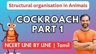 Cockroach in Tamil | Part 1 | NCERT Line by line