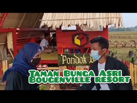 Pariwisata Lampung #Taman Bunga Asri Bougenville Resort | Tempat Berburu Kembang Kertas