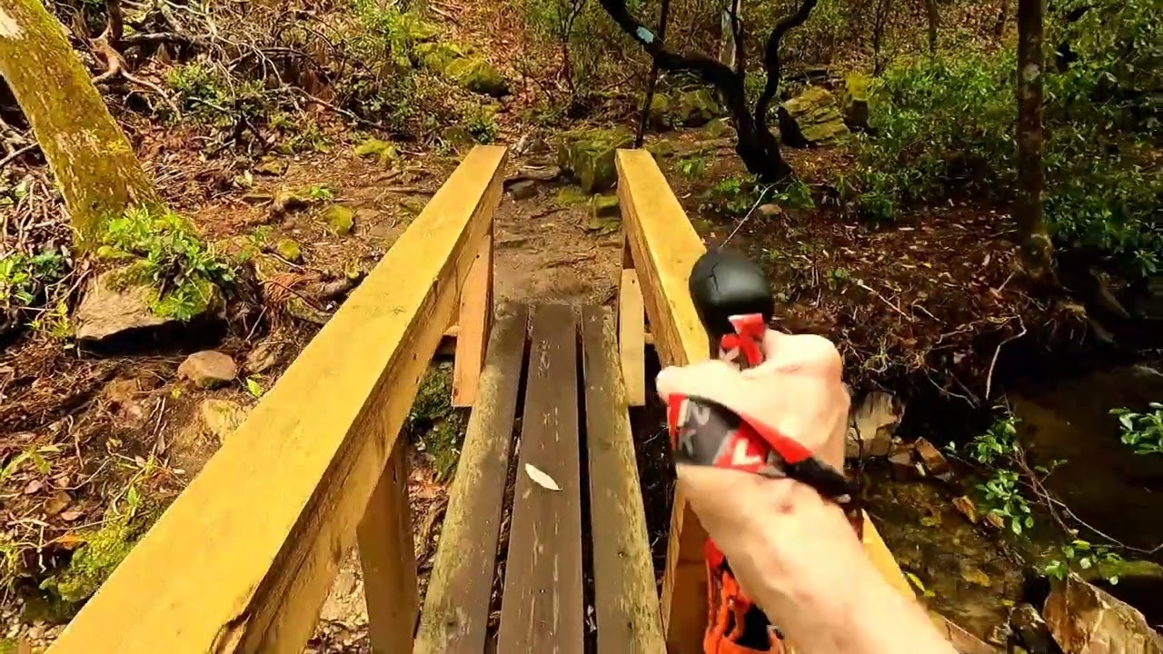 Tough 5 miles-Cascade Falls Hike 040924-FD Roosevelt State Park-Pine Mountain Ga