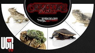 Creature Feature (July 2019)