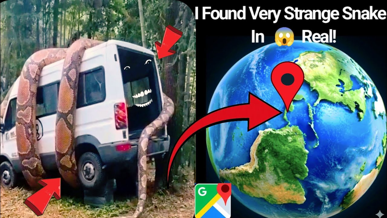 I Found Very Strange Snake🐍 On Google 🌍 Earth And Maps # ...