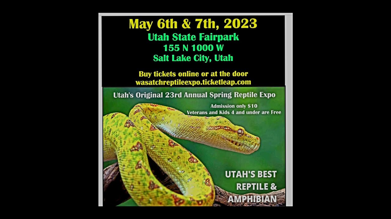 Utah Original 23rd Annual Spring Reptile Expo. YouTube