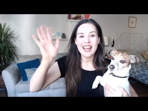 vegan-dog-products-we-love