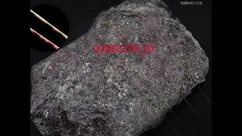 Cước Tàng Hình, Dây Cước Câu Cá Tàng Hình Nylon Speckle 100m Tải Cá Tốt Dùng Làm Dây Trục Câu Cá