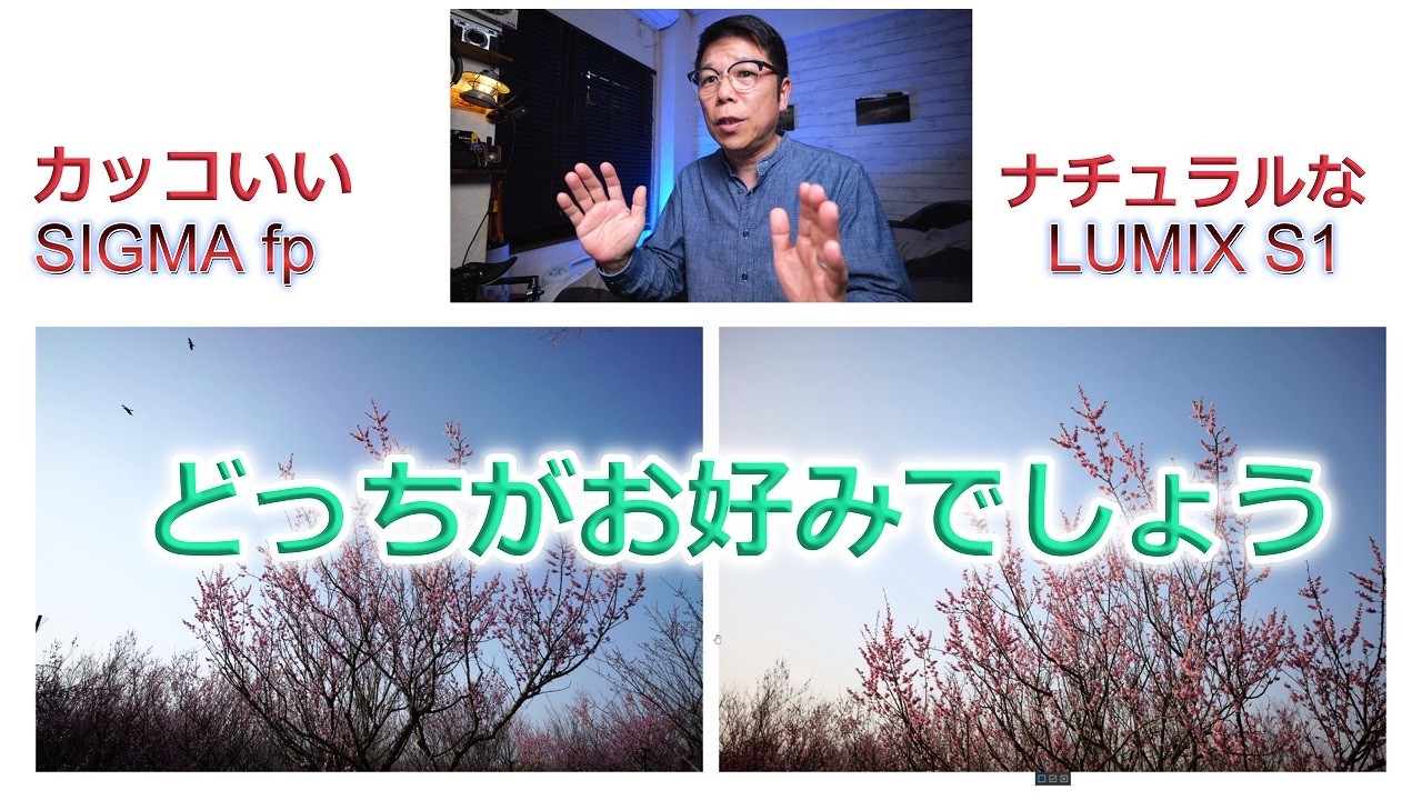 SIGMA fp と LUMIX S1 カッコいい写真が撮れるのはどっち？