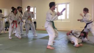 IMG 4375