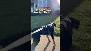 Gary Wright, 1975 Dream Weaver song.  New Age music from the 70s used in Wayne’s World Movie RIP