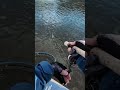 Japan Fishing ASMR - Trout Fight#163🎣