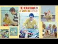 All Summer Long The Beach Boys 2024 Stereo Mix mp3