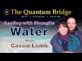 Healing with shungite water  with cassie lamb