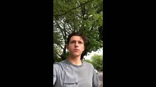 See What Tom Holland Does When He Sees A Lost Dog.