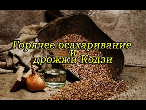 Горячее осахаривание и дрожжи Кодзи