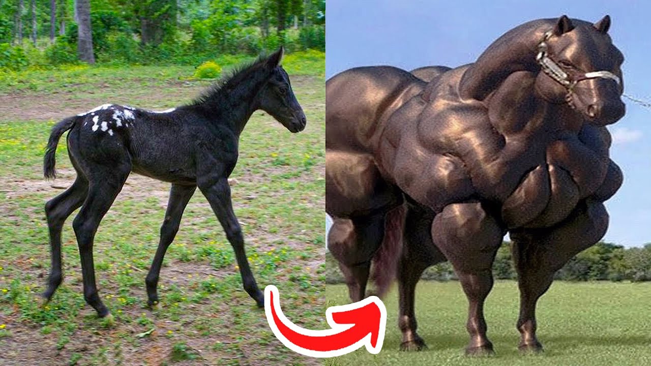 Before & After Animals Growing Up. Amazing Animal Transformation 💥 #short #tiktok #animals