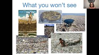 Let’s Talk Tiny: A Virtual Conversation about Microplastics with Dr. Jenni Brandon & Tammy Russell