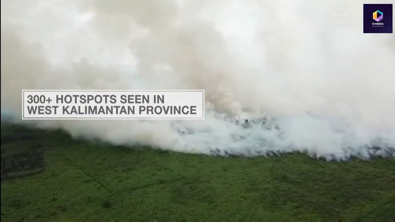 The Peat Fires That Will Affect the Entire Planet