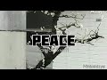 Taylor Swift - Peace (Lyrics)