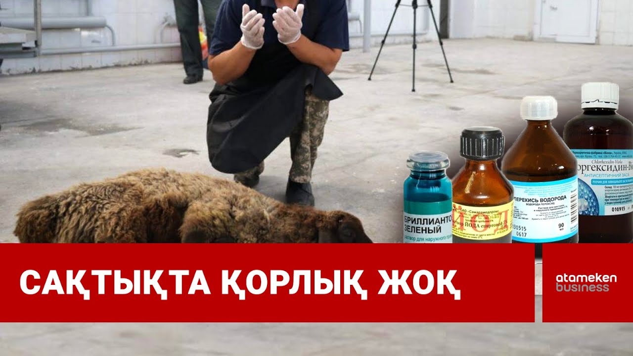 Құрбан айт талаптары: Әлемде тырысқақ ауруы өршіп тұр