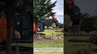 Excavator Cutting Trees Like Butter 🌳 | Insane Logging Machine