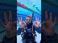 How to Clear a Scuba Diving Mask!