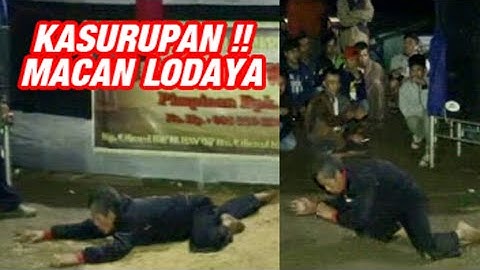 19 buah kawung || SENI SUNDA KARUHUN || GEMYUNG JAIPONG || CISALAK SUBANG