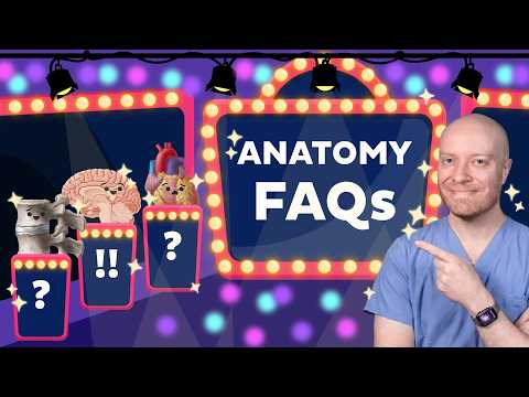 The 3 Questions Every Anatomy Student Has