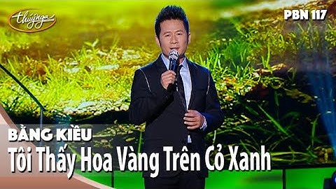 PBN 117 | Bằng Kiều - Tôi Thấy Hoa Vàng Trên Cỏ Xanh