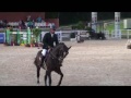 Hassan methqal semaine du cheval 2017