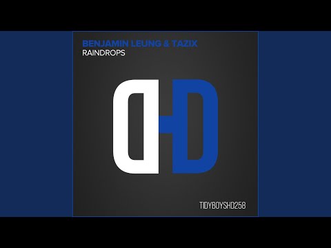 Raindrops (Original Mix)