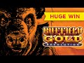 BUFFALO CASINO GAME BIG WIN - YouTube