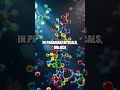 The Quiet Dawn of On-Demand Molecular Manufacturing
