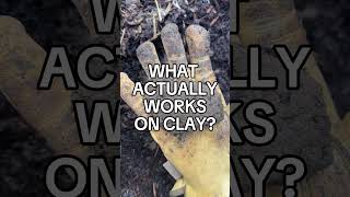 Never Add Sand to Clay Soil — Here's Why