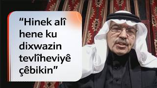 Ekrem Mehşûş Hinek Alî Hene Ku Dixwazin Tevlîheviyê Çêbikin