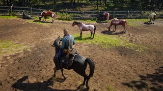 Arthur Morgan Stole horse from Cowgirl