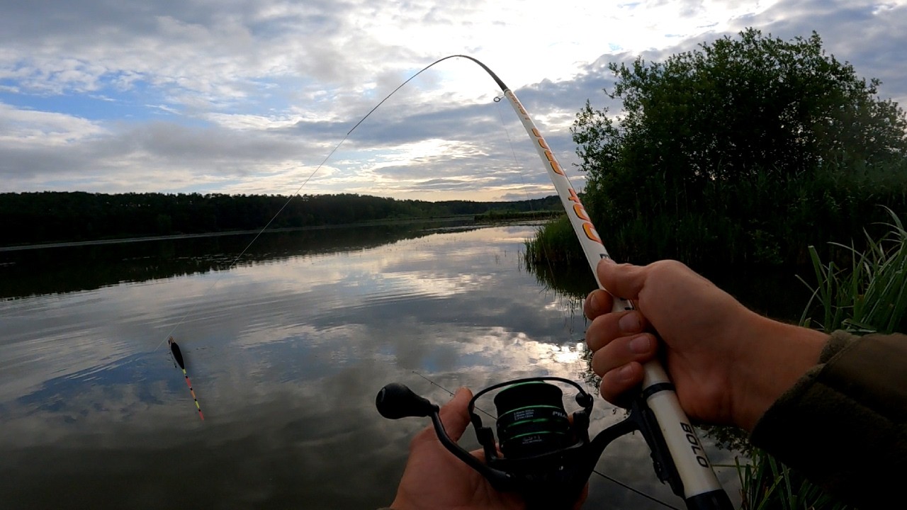 Potężna ryba z bagiennej miejscówki !!! Na spławik !!!