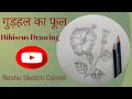 गुड़हल का फूल कैसे बनाएं/ How to draw Hibiscus/‌Easy and beautiful hibiscus drawing/Hibiscus flower