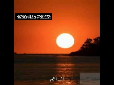 حالات واتس اب نور الدين الطيار ملكوش مكان جوانا
