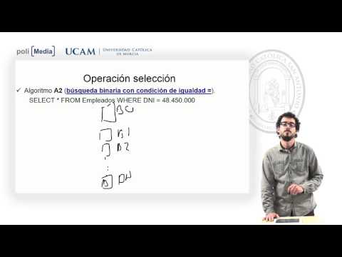 Administración de Bases