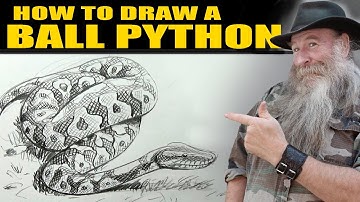 HOW TO DRAW A BALL PYTHON (intermediate level artist)