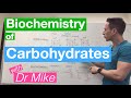 Carbohydrates | Biochemistry