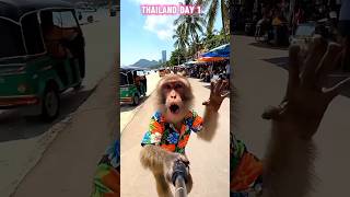 Thailand Series Start Pattaya Vlog #part1