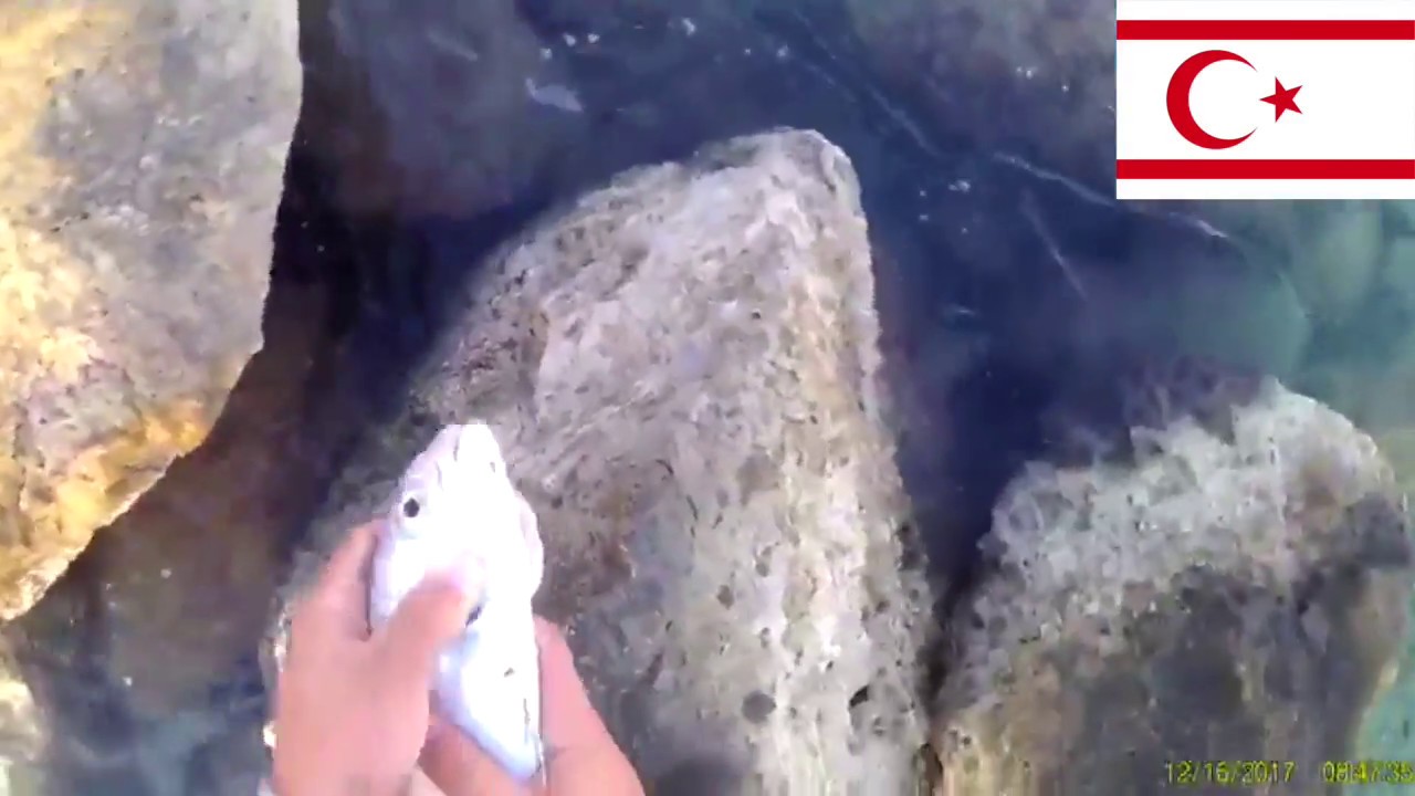 North Cyprus Fishing SpinningAmberjack/Mineri/Kuzu iadesi YouTube