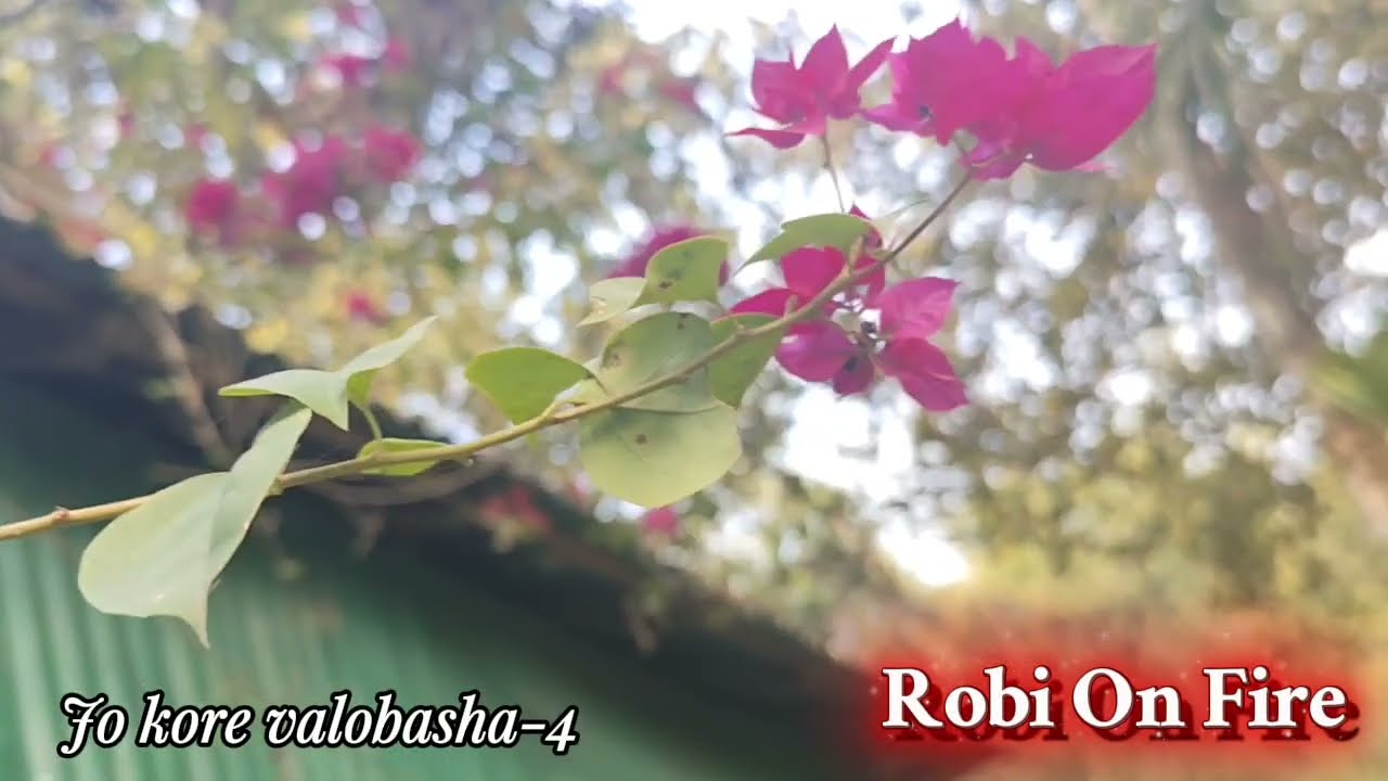 New  (Part-4) Jor kore Valobasha। Robi On Fire