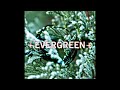 Evergreen prod mercury